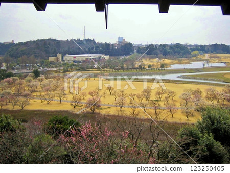 水戶偕樂園之春 2009 水戶偕樂園之春 2009 123250405