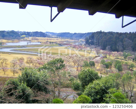 水戶偕樂園之春 2009 水戶偕樂園之春 2009 123250406