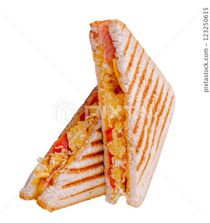 Delicious ham and cheese sandwich grilled to perfection Delicious ham and cheese sandwich grilled to perfection 123250615