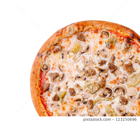 Delicious pizza topped with mushrooms, pickles, and meat 123250696