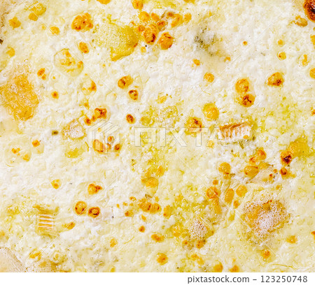 Delicious cheesy dish topped with golden crust in a warm setting Delicious cheesy dish topped with golden crust in a warm setting 123250748