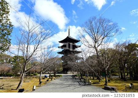 京都府,東寺與花園,五重塔,京都市南區九條町,2022 年 2 月 京都府,東寺與花園,五重塔,京都市南區九條町,2022 年 2 月 123251053