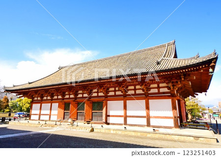 京都府，東寺講堂（重要文化財產），京都市南區九條町，2022 年 2 月 123251403