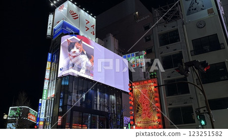 Calico cat at Shinjuku East Exit Calico cat at Shinjuku East Exit 123251582