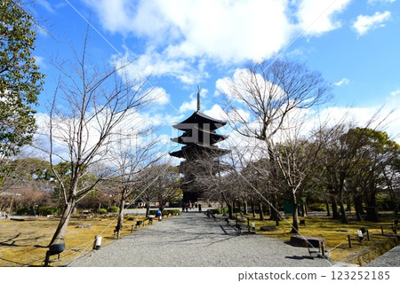 Kyoto Prefecture, Toji Temple and Garden, Five-story Pagoda, Kujo-cho, Minami-ku, Kyoto City, February 2022 Kyoto Prefecture, Toji Temple and Garden, Five-story Pagoda, Kujo-cho, Minami-ku, Kyoto City, February 2022 123252185