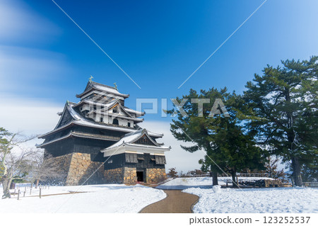 Matsue castle in the snow 123252537
