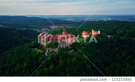 Aerial view of historic medieval castle surrounded by forest. Ksiaz castle in Walbrzych, Poland 123253893