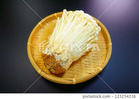 Enokitake mushroom, Enoki mushroom, Nametake mushroom, Namesuki mushroom, Saxifrage mushroom 123254216