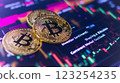 比特幣虛擬貨幣投資股票價格圖表比特幣加密貨幣資產貨幣虛擬 123254235