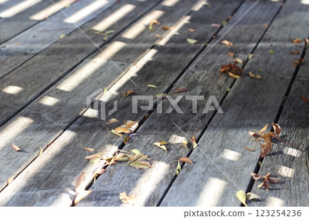 Fallen leaves on the wooden deck of a house. Fallen leaves of the Japanese fraxinus Fallen leaves on the wooden deck of a house. Fallen leaves of the Japanese fraxinus 123254236