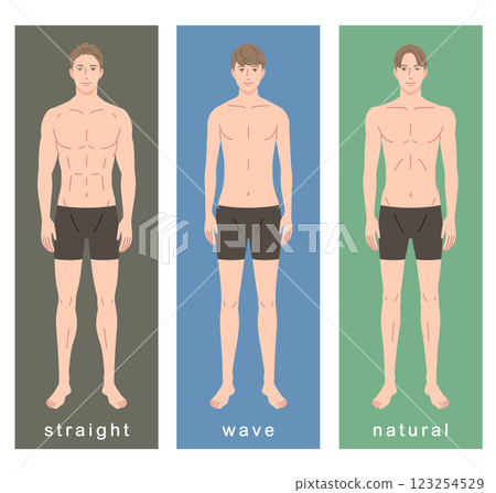 Men's skeletal diagnosis 3 types Body type Skeletal type Men's skeletal diagnosis 3 types Body type Skeletal type 123254529