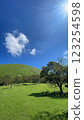 Somewhere in Shizuoka 123254598