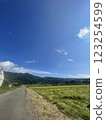 Somewhere in Shizuoka 123254599