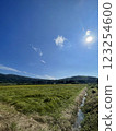Somewhere in Shizuoka 123254600