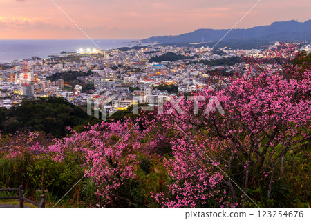 Early-blooming Ryukyu winter cherry blossoms at Sakura Garden in Nago Castle Park, Nago City, Okinawa Prefecture, and the sunset over Nago Bay over the city night view Early-blooming Ryukyu winter cherry blossoms at Sakura Garden in Nago Castle Park, Nago City, Okinawa Prefecture, and the sunset over Nago Bay over the city night view 123254676