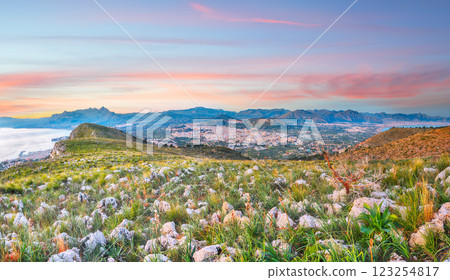Panoramic view of Bagheria Palermo and Santa Flavia towns and national park Orientata Pizzo Cane Panoramic view of Bagheria Palermo and Santa Flavia towns and national park Orientata Pizzo Cane 123254817