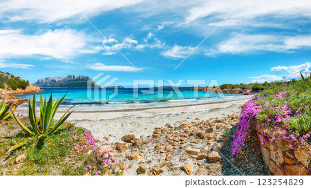 Superb azure water with rocks and lots of flowers at Doctors beach (Spiaggia del Dottore) near Porto Istana. Superb azure water with rocks and lots of flowers at Doctors beach (Spiaggia del Dottore) near Porto Istana. 123254829