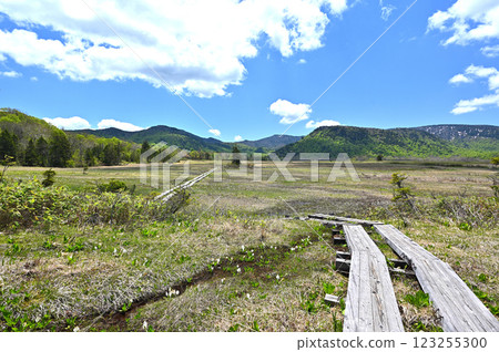 尾瀨無盡的木板路 123255300