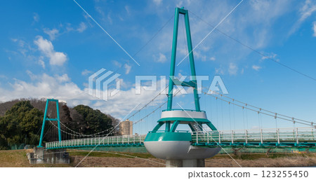 Swaying bridge over Shinkawa River, Yachiyo City, Chiba Prefecture Swaying bridge over Shinkawa River, Yachiyo City, Chiba Prefecture 123255450