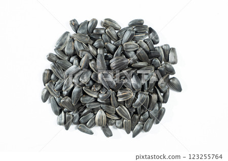 Heap of Roasted Sunflower Seeds Top View on White Background Heap of Roasted Sunflower Seeds Top View on White Background 123255764