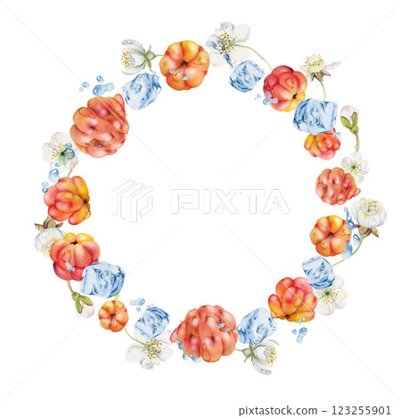 Cloudberry raspberry flying in water splashes drops, hand drawn in watercolor, red forest berry, white flowers leaves. Circle wreath frame illustration. Restaurant cafe menu, farmers market, juice bar 123255901