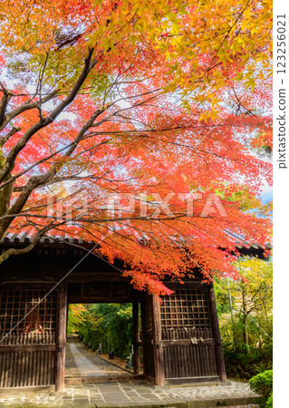 輪王寺深秋 輪王寺深秋 123256021