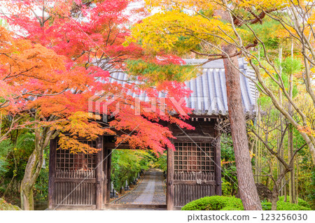 輪王寺深秋 輪王寺深秋 123256030
