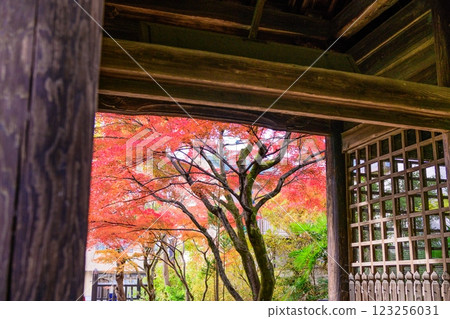 Rinno-ji Temple Late Autumn Rinno-ji Temple Late Autumn 123256031
