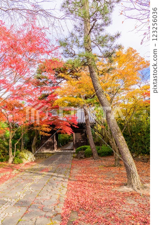 輪王寺深秋 輪王寺深秋 123256036