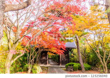 輪王寺深秋 123256040