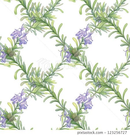 Twigs of blooming rosemary. Seamless watercolor patter. Checkered pattern. Botanical illustration. Composition suitable for printing on fabric, packaging and wallpaper Twigs of blooming rosemary. Seamless watercolor patter. Checkered pattern. Botanical illustration. Composition suitable for printing on fabric, packaging and wallpaper 123256727