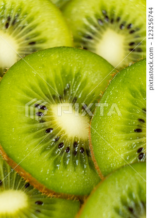 Juicy Kiwi Slices. Vibrant and Refreshing Fruit Texture 123256744