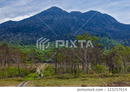 Hikers walking through Ozegahara in early summer and Mt. Hiuchigatake 123257014