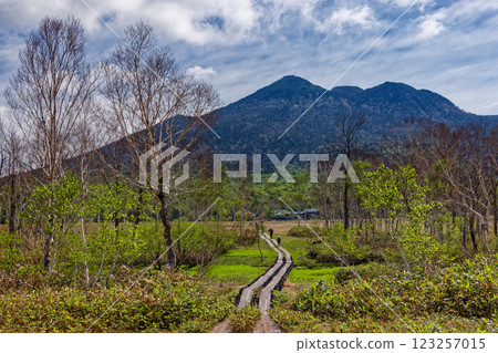 Hikers walking through Ozegahara in early summer and Mt. Hiuchigatake 123257015