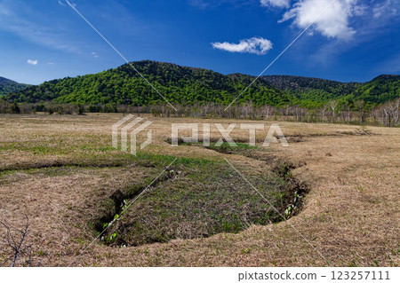 Fresh green mountain ranges seen from Ozegahara in early summer 123257111