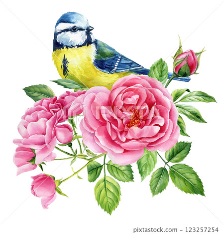 watercolor birds and pink rose flowers illustration, hand painted nature design, floral bouquet with songbird isolated watercolor birds and pink rose flowers illustration, hand painted nature design, floral bouquet with songbird isolated 123257254