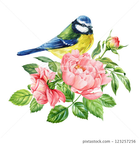 watercolor tit bird and flowers illustration, hand painted nature design, floral bouquet with songbirds isolated design 123257256