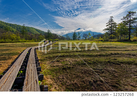 初夏時節，健行者穿過尾瀨之原，欣賞樋岳的美景 123257268