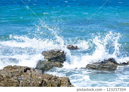 Reef and wave splash 123257304