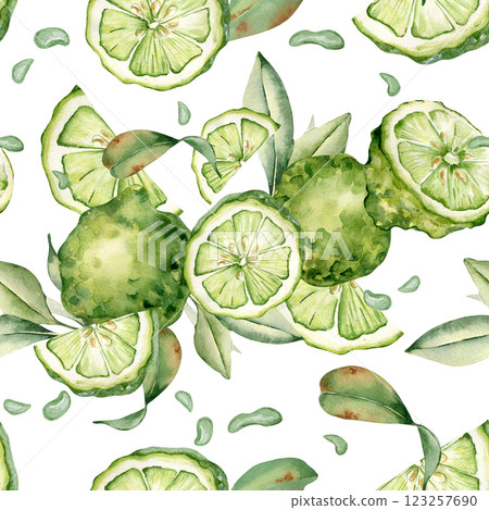 Bergamots with leaves bright summer watercolor seamless pattern isolated. Segments of bright citrus lime and artistic foliage drawn on botanical repeated texture. Green fruits painted for design Bergamots with leaves bright summer watercolor seamless pattern isolated. Segments of bright citrus lime and artistic foliage drawn on botanical repeated texture. Green fruits painted for design 123257690