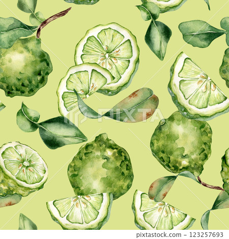 Watercolor seamless pattern with bergamot and leaves isolated. Hand-drawn citrus fruits, whole and halved, in a fresh summer design. For fabric, packaging, kitchen decor, and botanical prints. 123257693