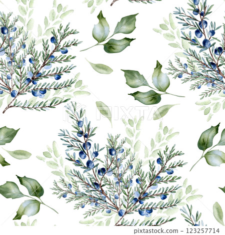 Seamless watercolor pattern of juniper berries and branches isolated. Botanical greenery in soft sage tones hand painted. Coniferous woodland plants for fabric, packaging, wallpapers vintage designs. Seamless watercolor pattern of juniper berries and branches isolated. Botanical greenery in soft sage tones hand painted. Coniferous woodland plants for fabric, packaging, wallpapers vintage designs. 123257714