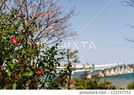 Notojima Bridge, Noto, Ishikawa Prefecture, March 123257752