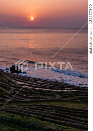 石川縣輪島市，白根千枚田，海與梯田的夜景，3 月 123257800