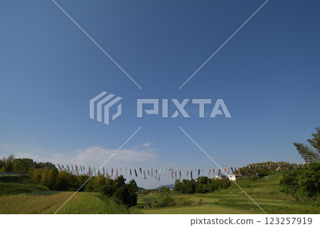 Awaji Island Carp Streamer Pulling Awaji Island Carp Streamer Pulling 123257919