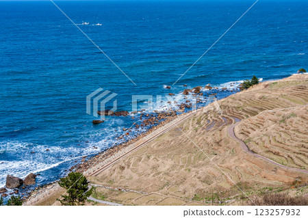 石川縣輪島市，白米千枚田，梯田和油菜花，三月 123257932