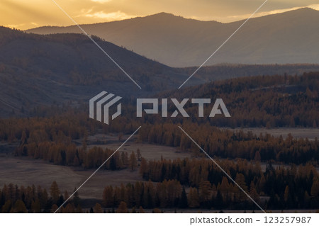 Autumn forest landscape with mountain in morning light and golden foliage Autumn forest landscape with mountain in morning light and golden foliage 123257987