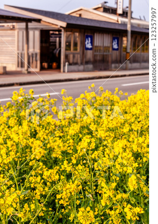 Suzu City, Ishikawa Prefecture, Salt production and spring scenery, March 123257997