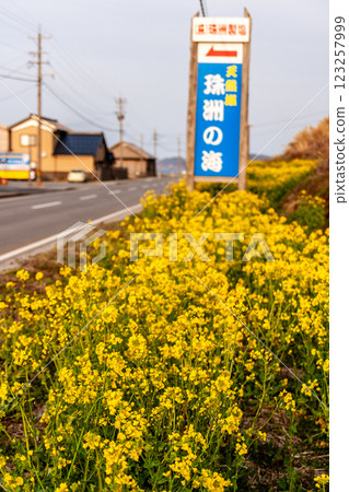Suzu City, Ishikawa Prefecture, Salt production and spring scenery, March Suzu City, Ishikawa Prefecture, Salt production and spring scenery, March 123257999