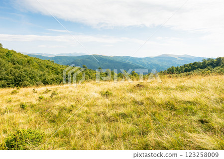 landscape of carpathian mountains in late summer. alpine scenery with primeval beech forest behind the grassy meadow beneath a cloudy sky at high noon. green tourism in europe landscape of carpathian mountains in late summer. alpine scenery with primeval beech forest behind the grassy meadow beneath a cloudy sky at high noon. green tourism in europe 123258009